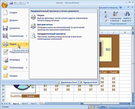 Откройте файл Excel (*.xls) в программе Microsoft Excel и нажмите Файл->Печать... в главном меню приложения.